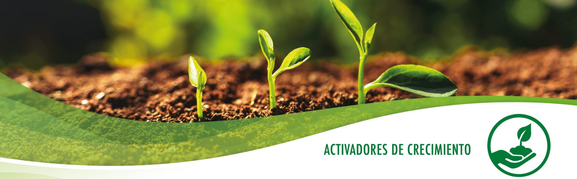 imagen_portada_activadores_crecimiento
