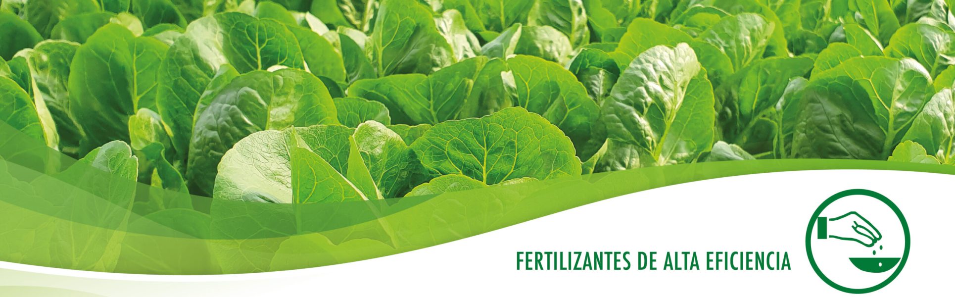 imagen_portada_alta_eficiencia