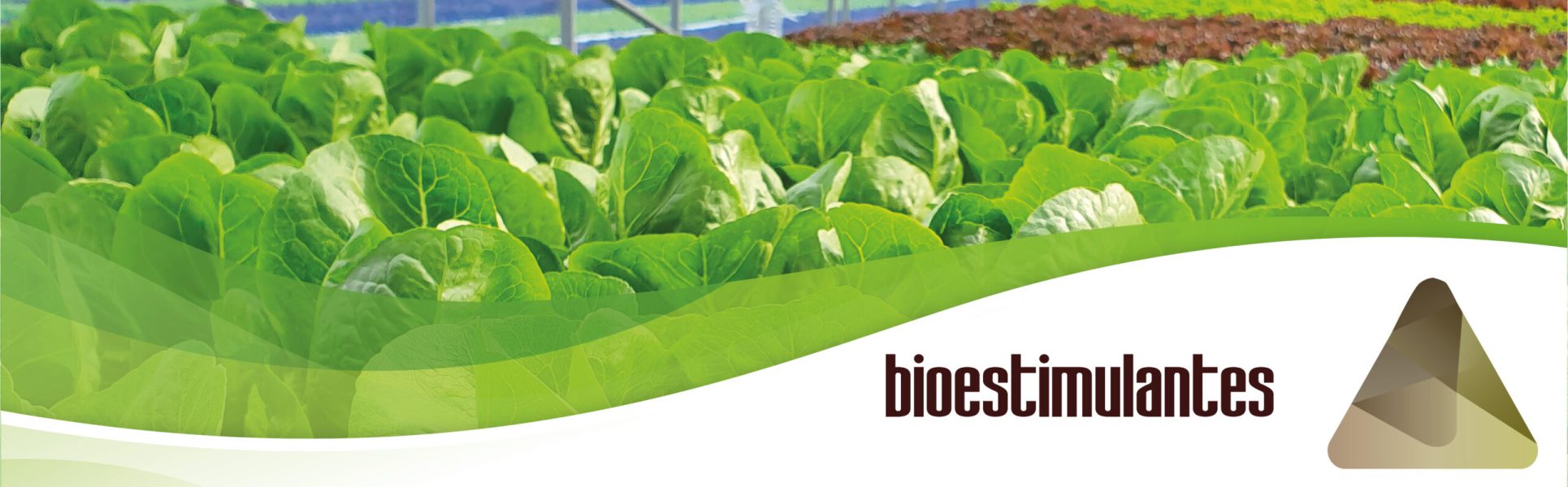 imagen_portada_bioestimulantes