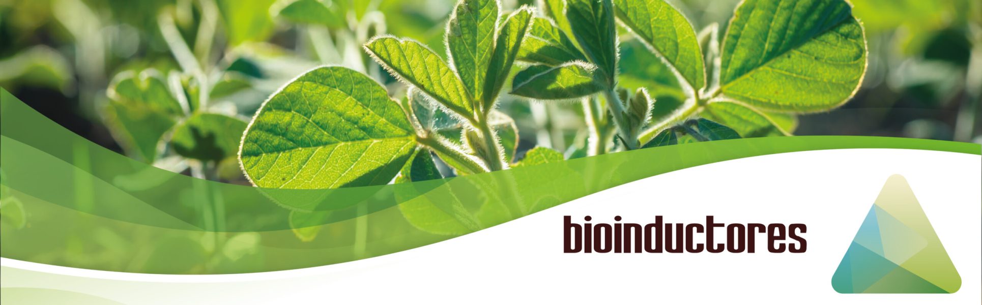 imagen_portada_bioinductores