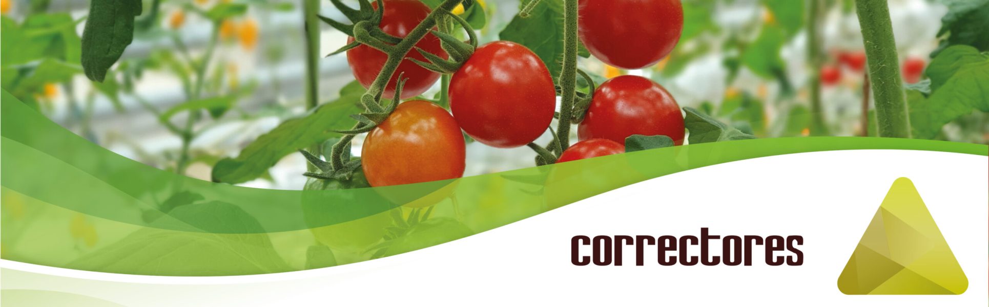 imagen_portada_correctores