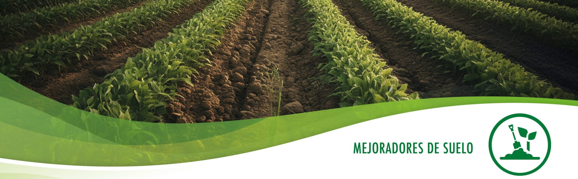imagen_portada_mejorador_suelo