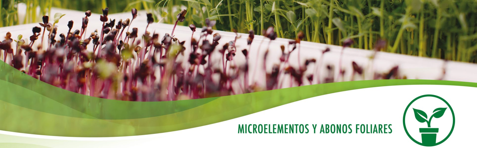 imagen_portada_microelementos_abono foliar