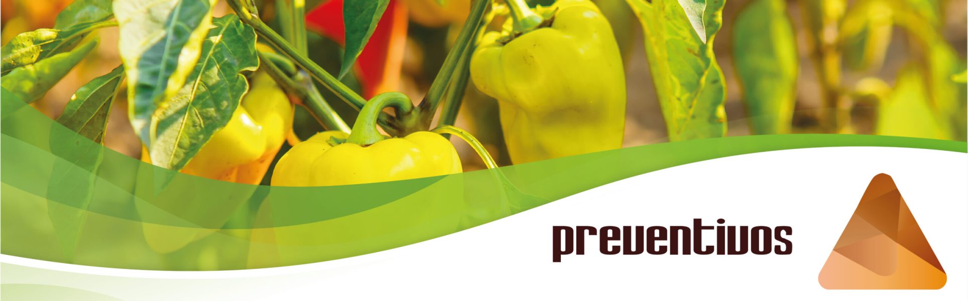 imagen_portada_preventivos
