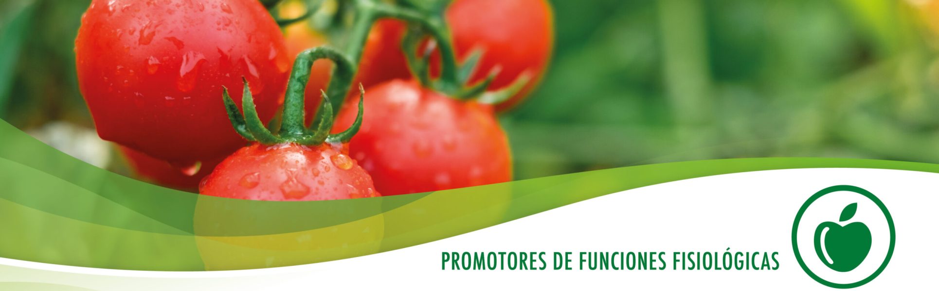 imagen_portada_promotores_funciones_fisilógicas